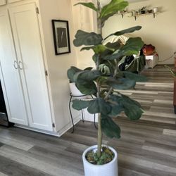 Artificial Fiddle Leaf Standing Plant 