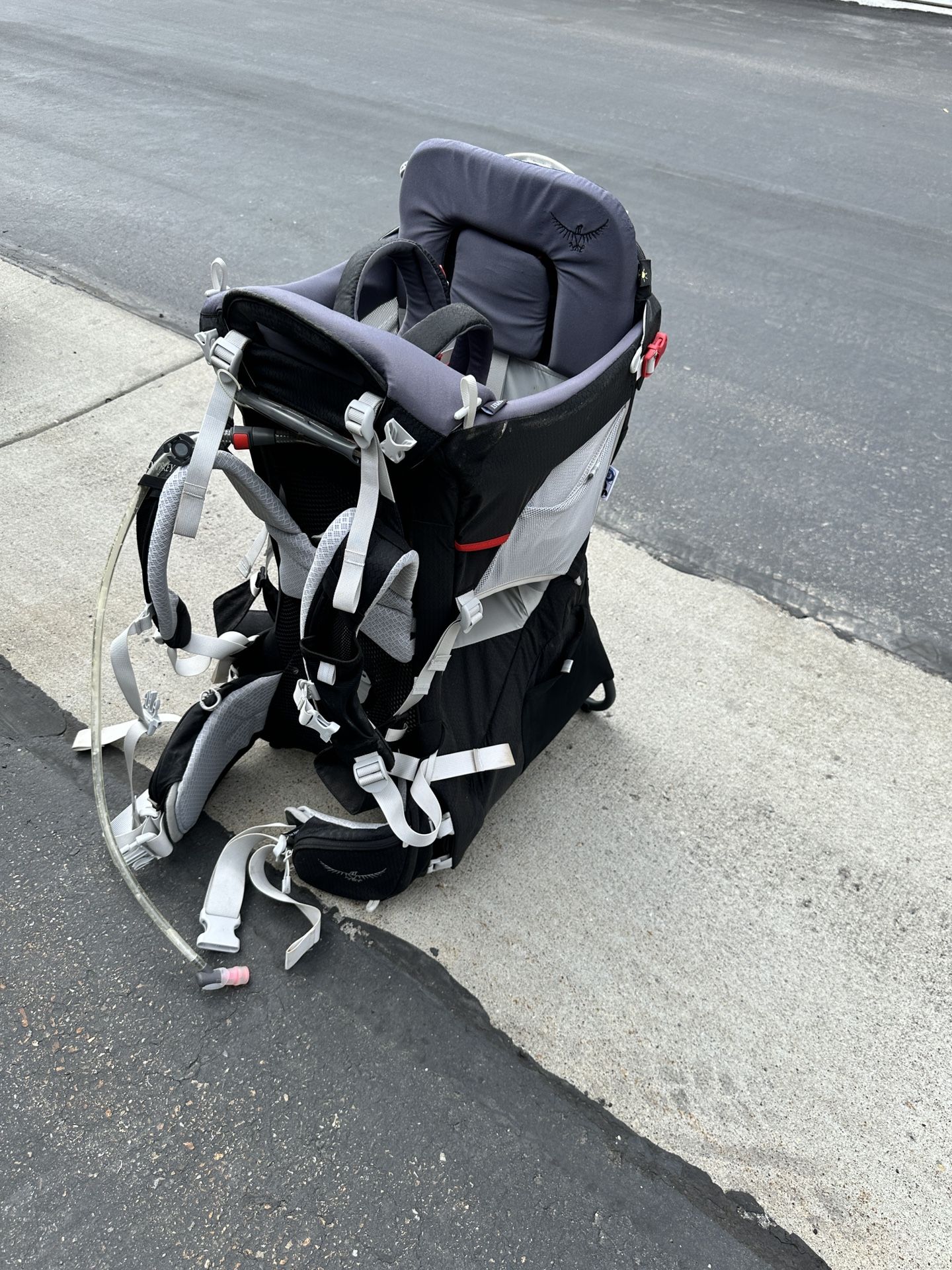 Osprey Poco Plus Child Carrier