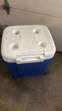 Cooler