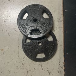 25lb Weight Plates X2