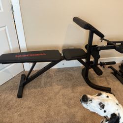 Squat Rack, Bench, Bar, Barbells, And Plates