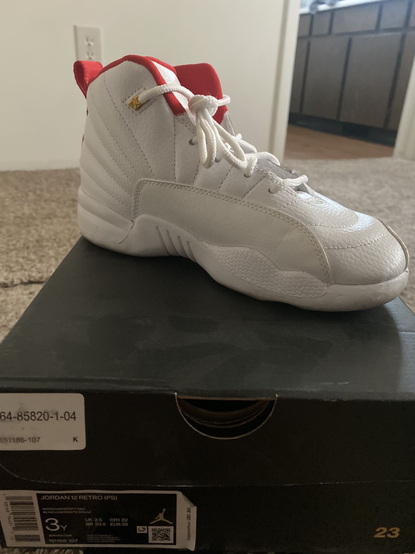 Jordan 12 Fiba