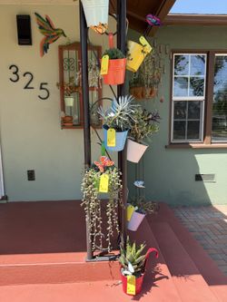 A Variety of Succulent Plants In Metal Pots With Hook To Hang