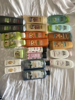 Shampoo