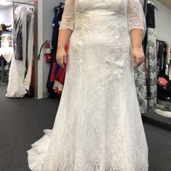 Lace v neck trumpet wedding dress