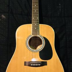 Esteban American Legacy AL-100 Acoustic Guitar