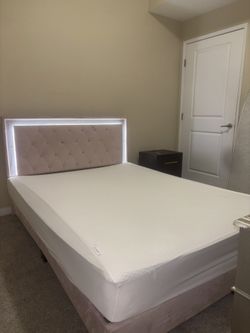 Full Purple/ Pink Bed Frame