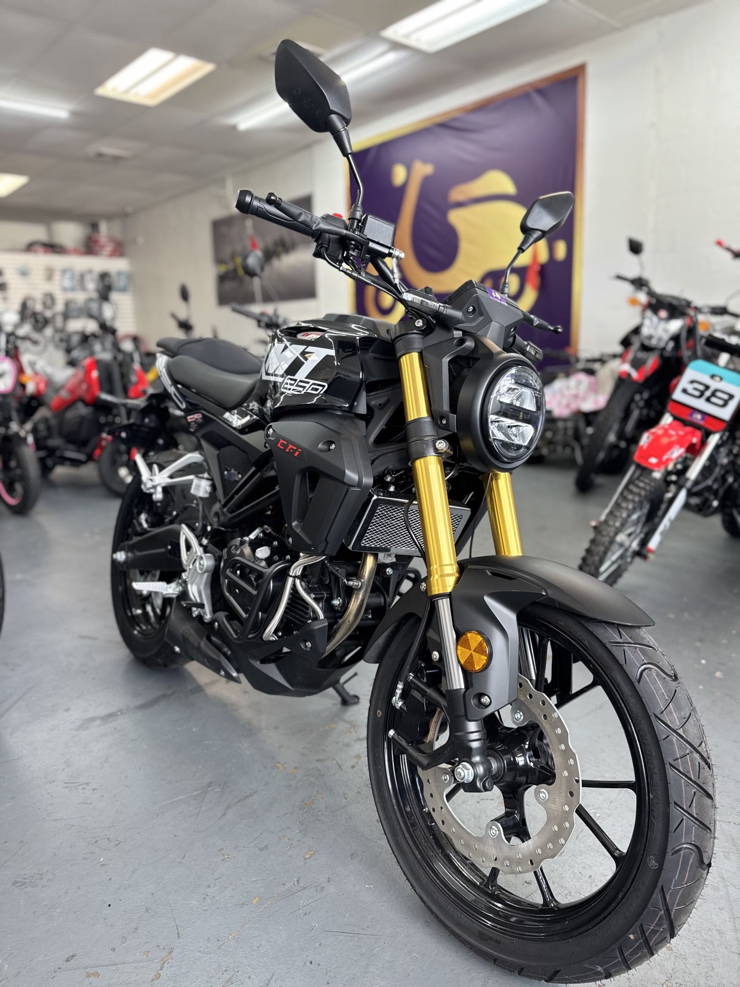 2025 Vitacci XMT
