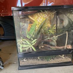 Amphibian Glass Habitat Terrarium 18x18x24