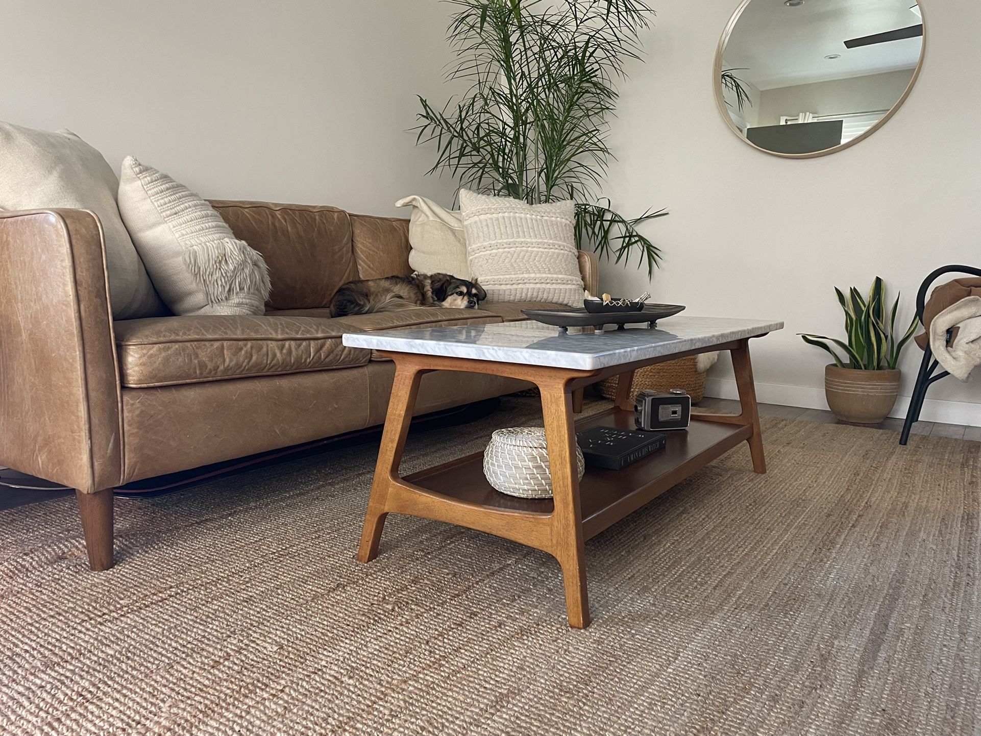 West Elm Reeve Mid-Century Rectangular Coffee Table