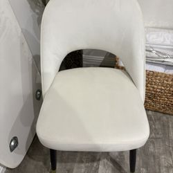 Luxury Chair 