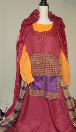 Womens XL costume new