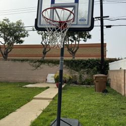 Lifetime Basketball Hoop 
