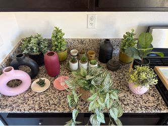House decorations