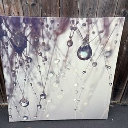 Canvas Art by Beata Czyzowska Young Wrapped Canvas Print Water Droplets on the End of a Plant