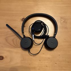 Jabra Evolve 20 UC Wired Headset, Stereo Professional Telephone Headphones for Greater Productivity, Superior Sound for Calls and Music, USB Connectio