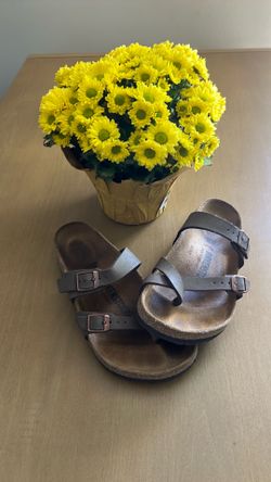 Birkenstock size 36