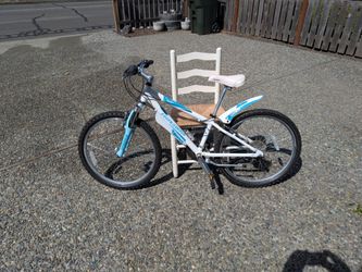 Novara Moxie mountain bike (REI)