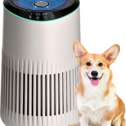 MERONTE Air Purifiers for Bedroom Home, Air Purifier for Smoke Odors with Fragrance Sponge, Small Air Purifier with Sleep Mode for Bedroom Office, Blu