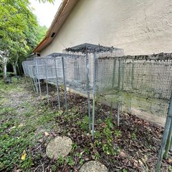 Bird Cages: Best Offer :)
