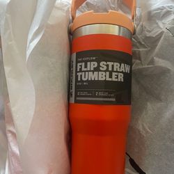 Stanley Flip Straw