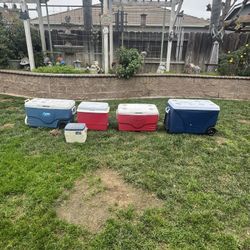 All ice chests for $50