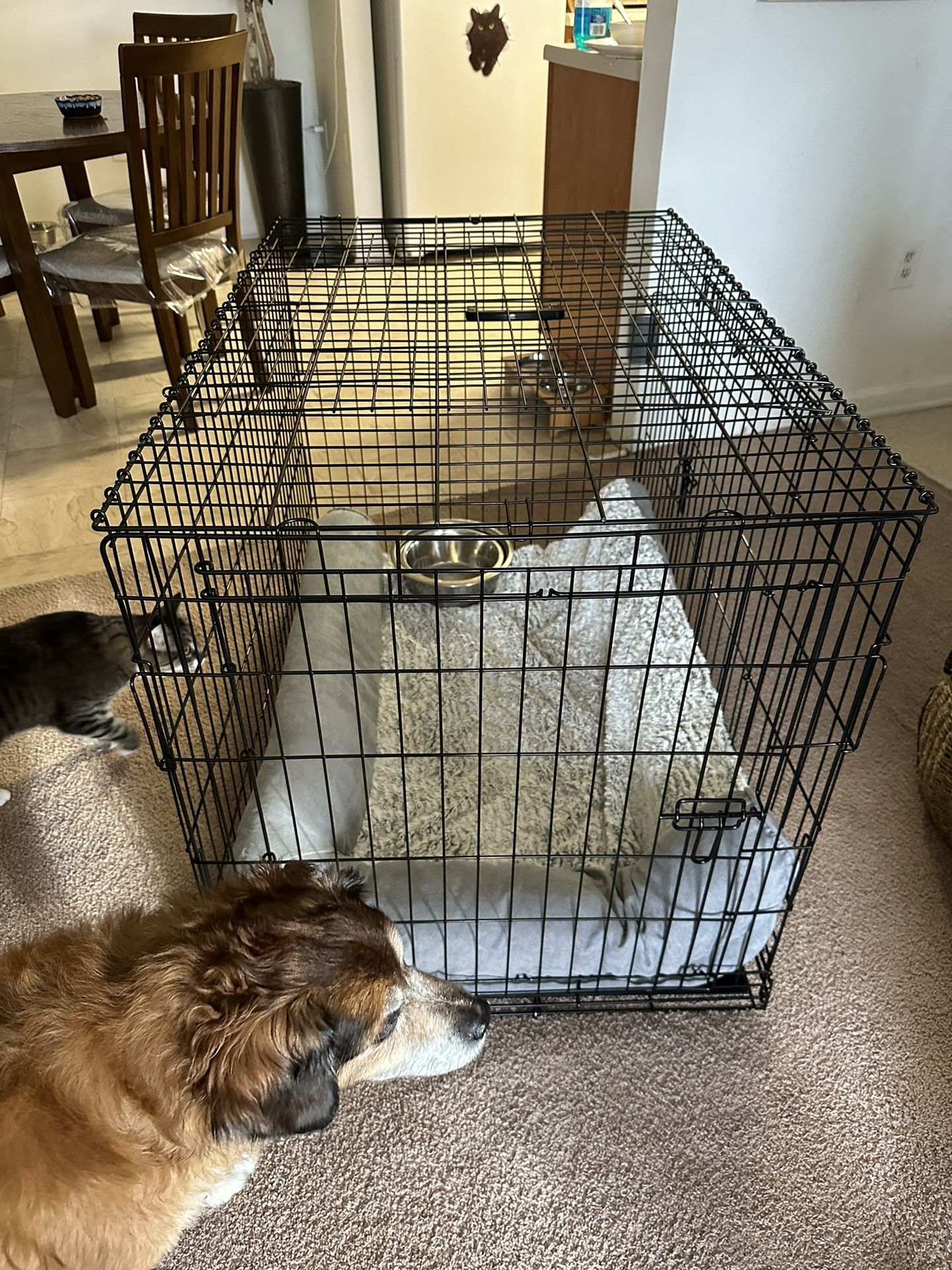 XL Dog Crate