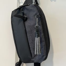 Sherpani Belt Bag