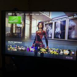Acer 24’ Gaming Monitor 