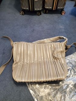 Paparazzi bag, purse