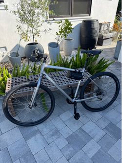 Trek “Verve 3” large