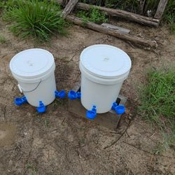 5 Gallon Chicken Waterers