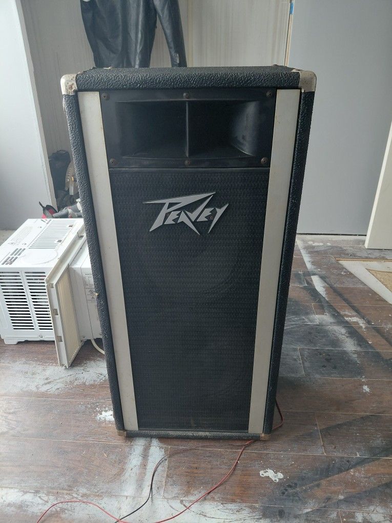 Peavy P.a Speaker