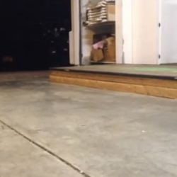 Skate Box