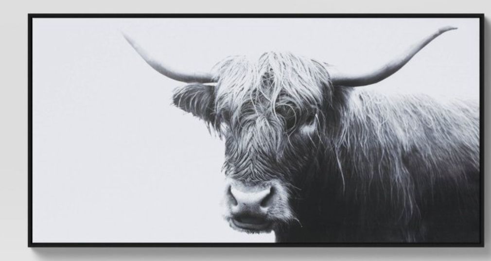 47" x 24" Highland Cow Framed Canvas by threshold