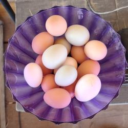 Fresh Eggs $8-Apple Valley