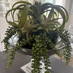 Arterial Plant Arrangement.