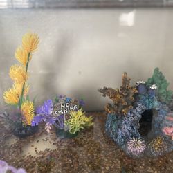 Ten Gallon Aquarium Fish Tank With Supplies 