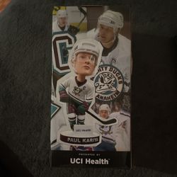 Ducks BobbleHead