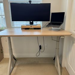 IKEA Automatic Standing Desk