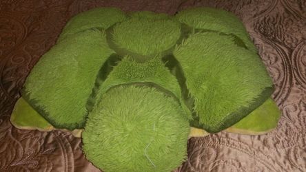 Pillow pet