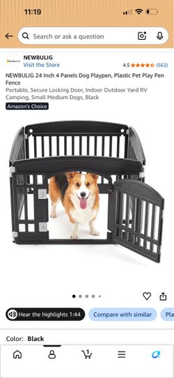 Dog play one