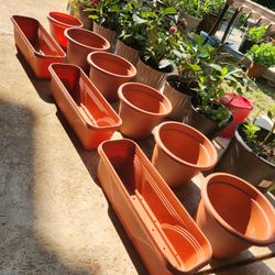 New Plastic Plant Pots/Planters