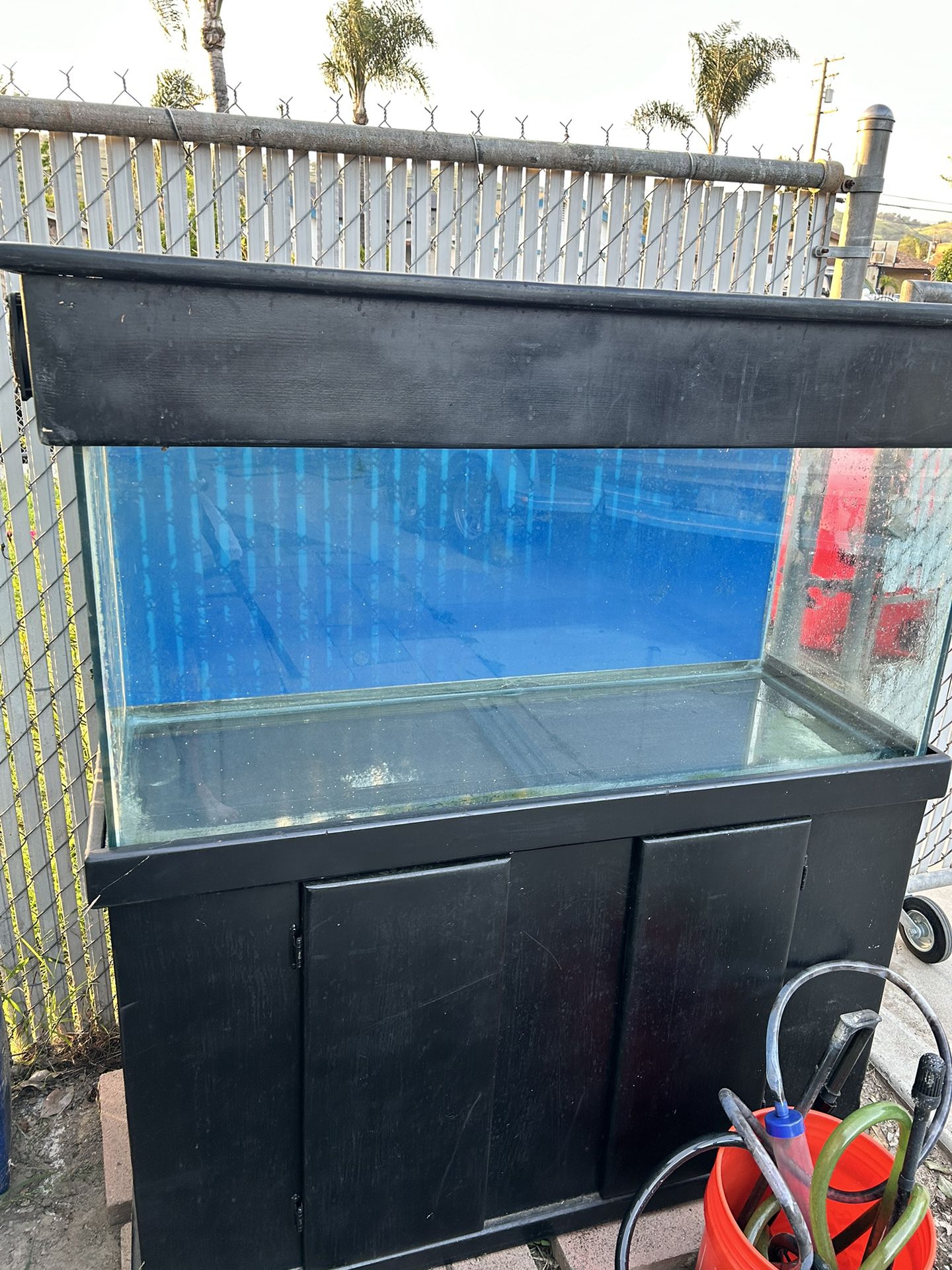 80 Gallon Tank With Stand