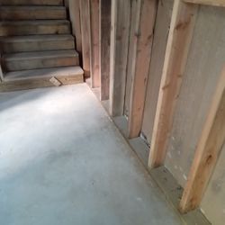 Water Damage And  Mold Removal  Service 