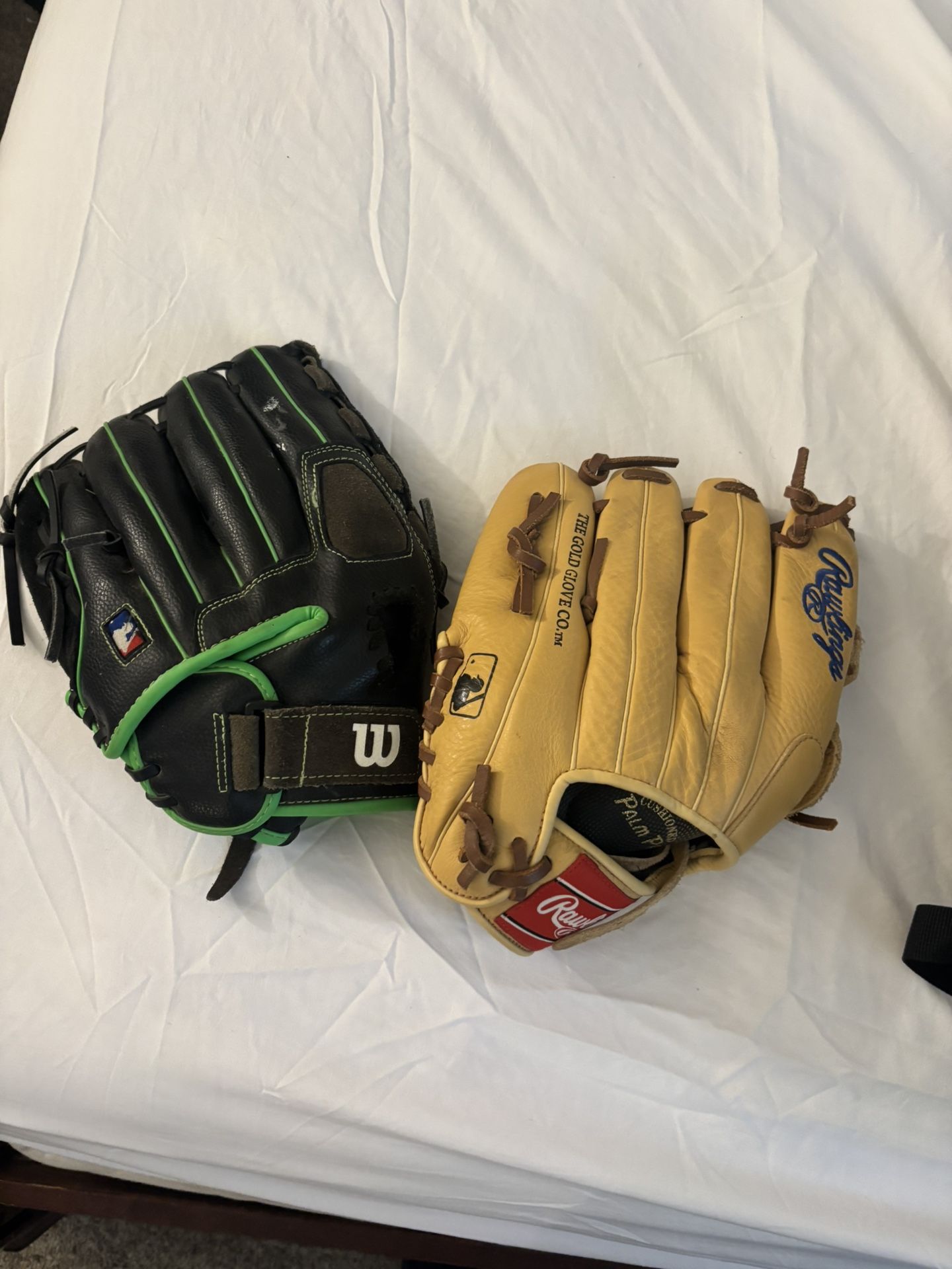 Baseball Gloves And Bag