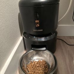 Automatic Cat Feeder