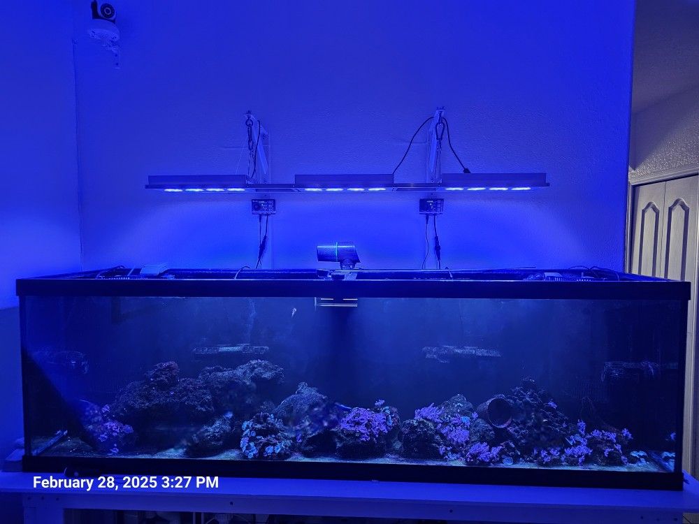 Aquarium 72x18x22