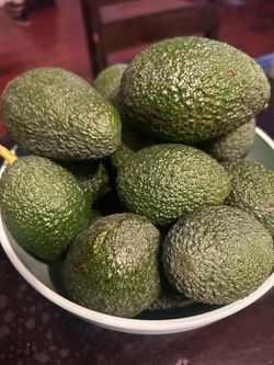 Aguacates / avocados