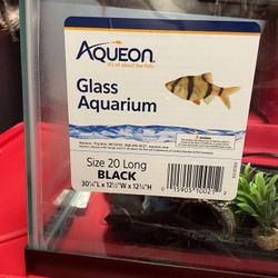 20 Gallon Long Fish Tank